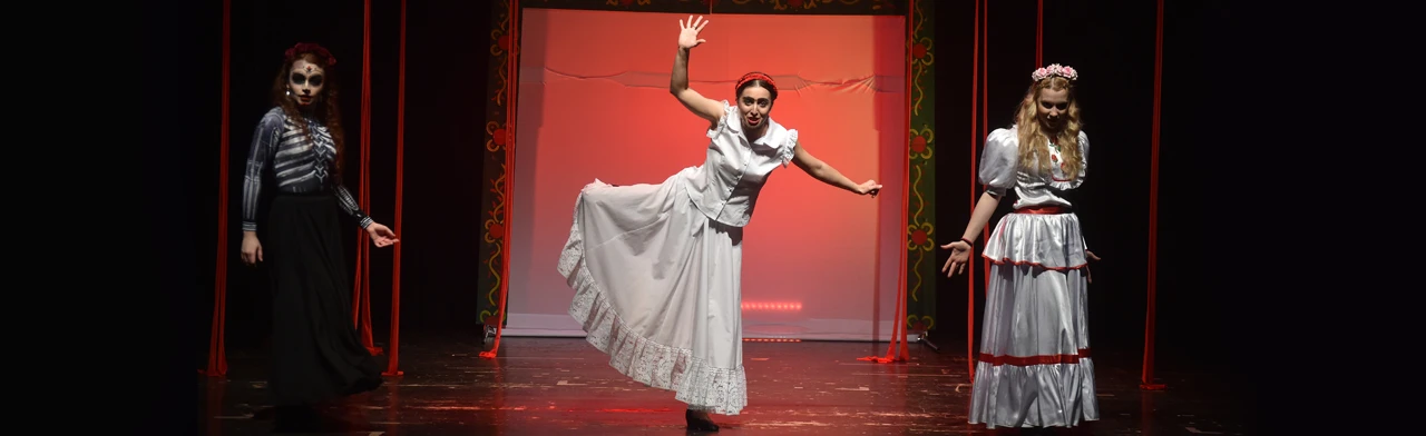 Постер Непростая жизнь, огромная любовь и великий дар Фриды Кало в Омске