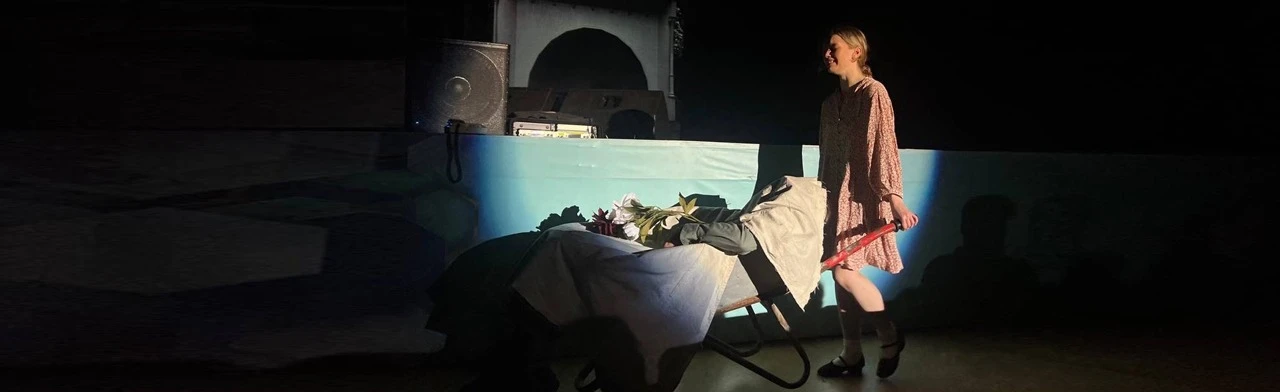 Постер Эффект бабочки в Омске