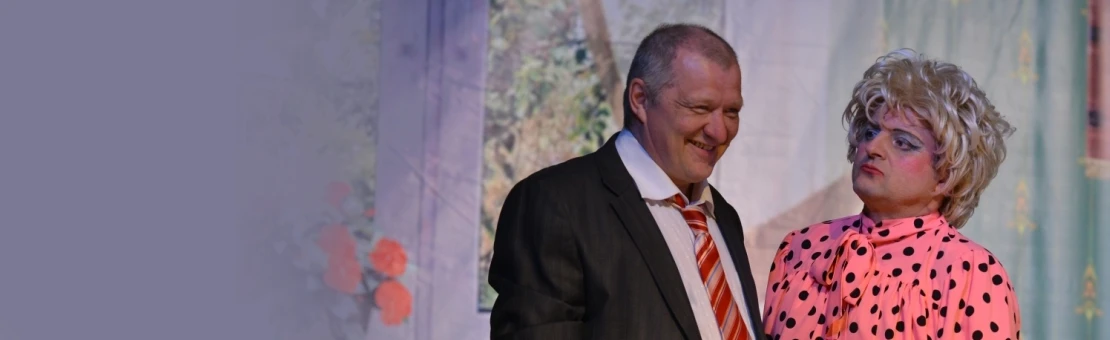 Постер Здравствуйте, я ваша теща в Омске