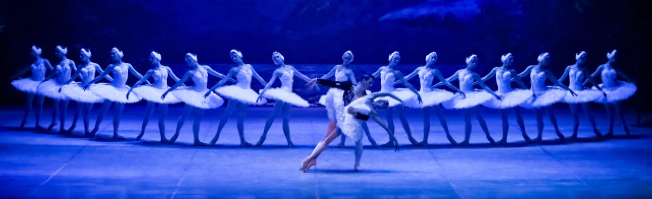 Постер Лебединое озеро в Омске