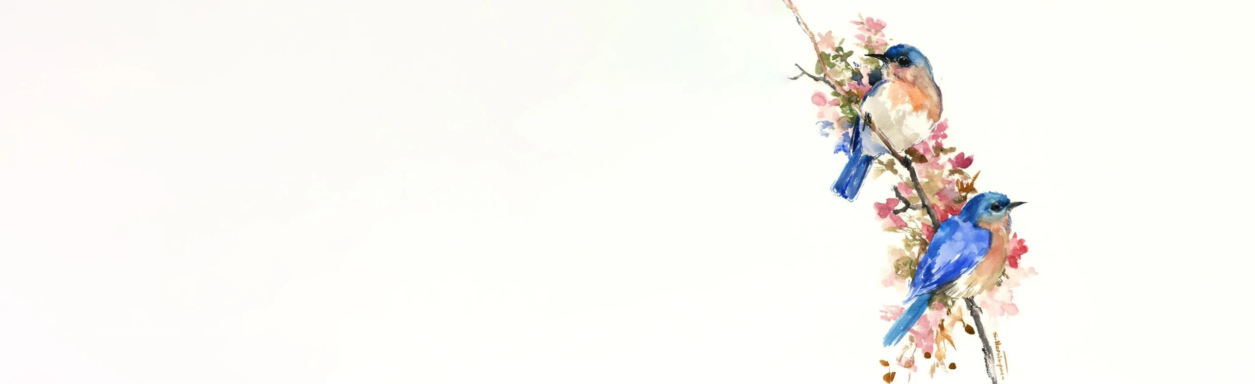 Постер Птицы акварелью. Мастер-класс