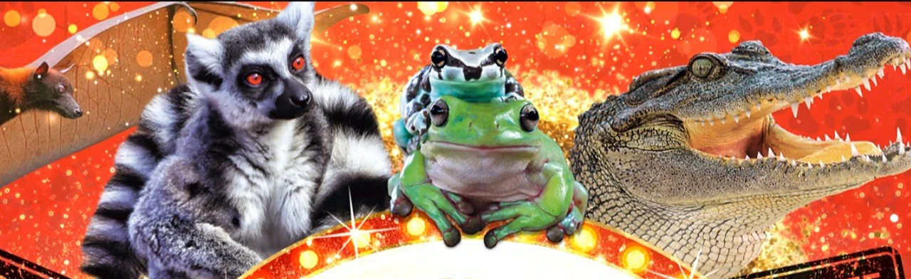 Постер Фантастические Твари. Выставка в Оренбурге