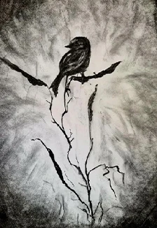 Постер Рисование натуральным углем. Программа в Оренбурге