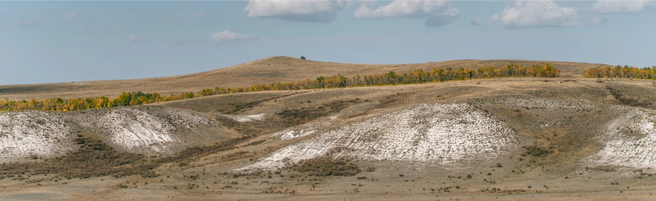 Постер Моё Оренбуржье. Музейное занятие