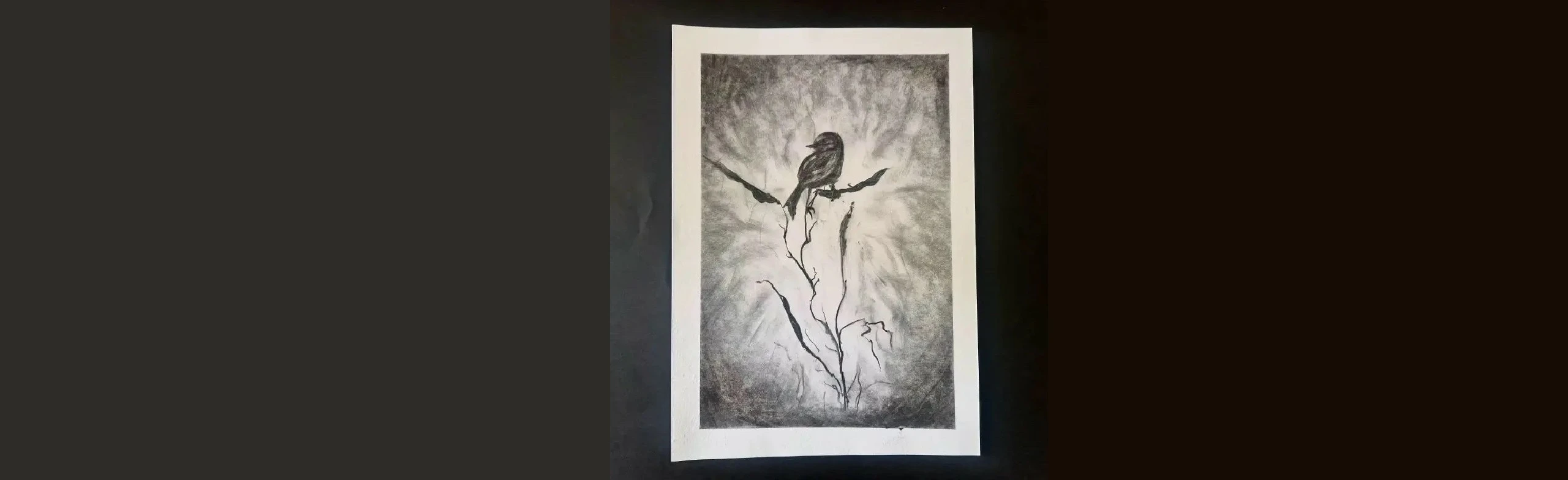 Постер Рисование натуральным углем. Программа в Оренбурге