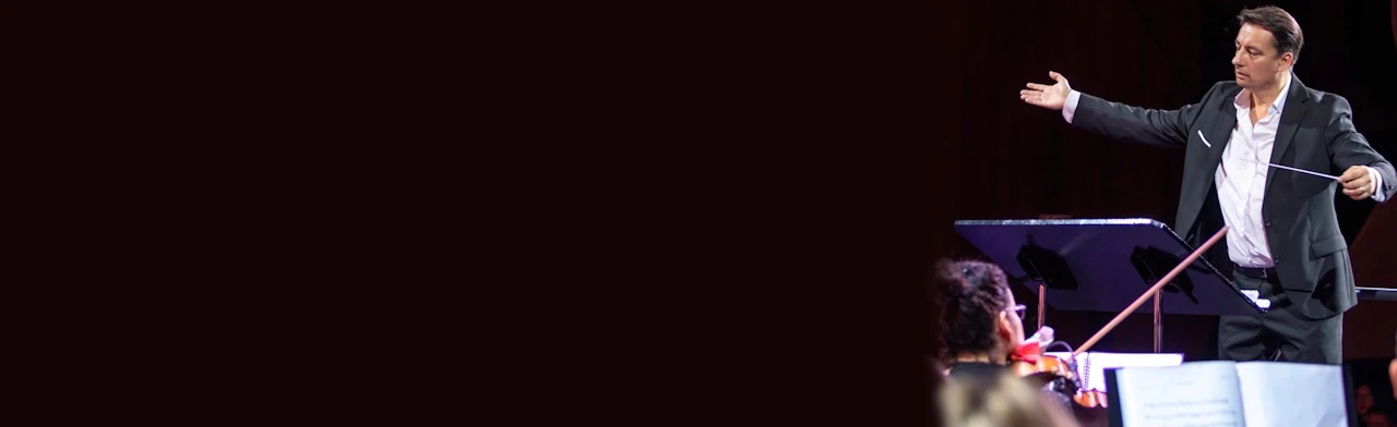 Постер Парад инструментов. Эстрадно-симфонический оркестр в Южно-Сахалинске