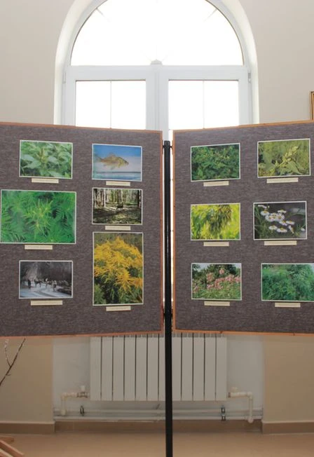 Постер Опасные пришельцы: Лекция в Саранске