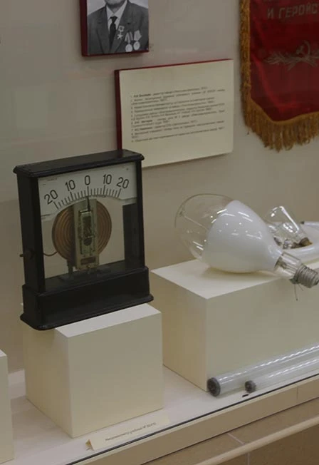 Постер Свет в нашей жизни. Экскурсия в Саранске