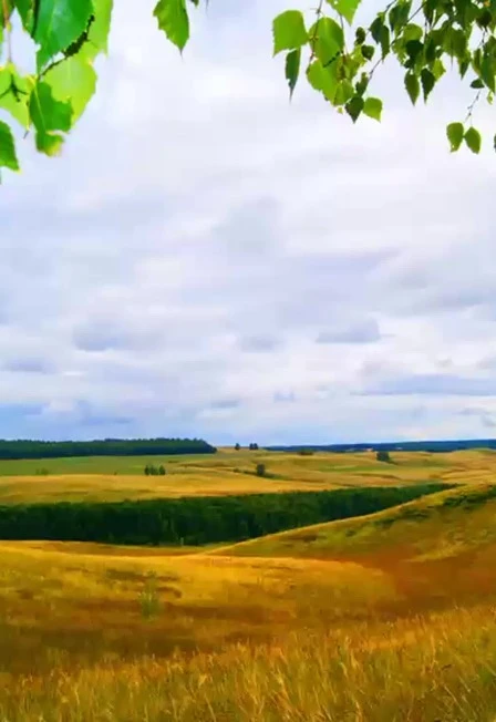 Постер Люби и знай свой край родной. Краеведческий час в Саранске