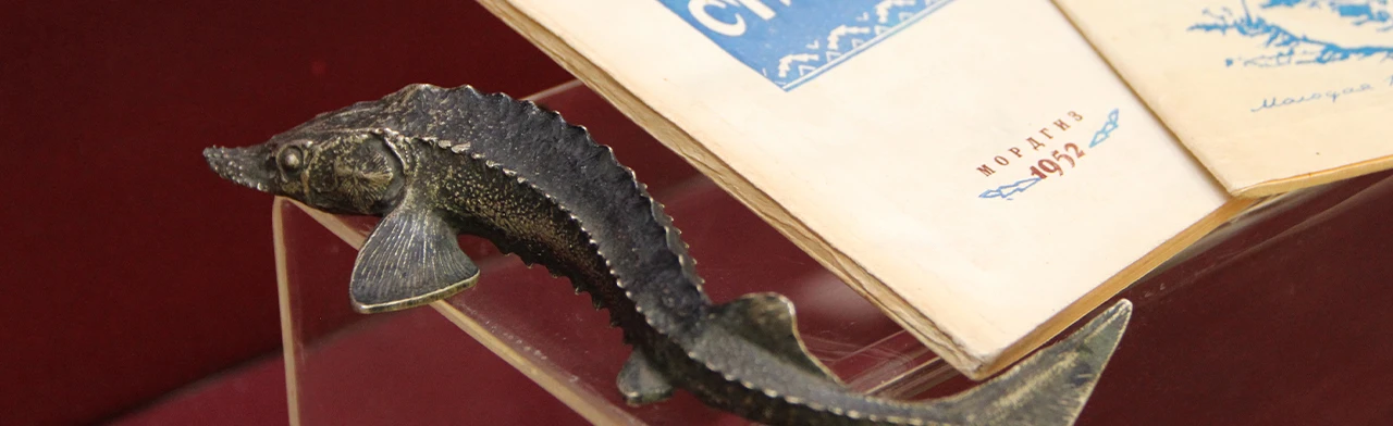 Постер Писатели-фронтовики. Лекция в Саранске