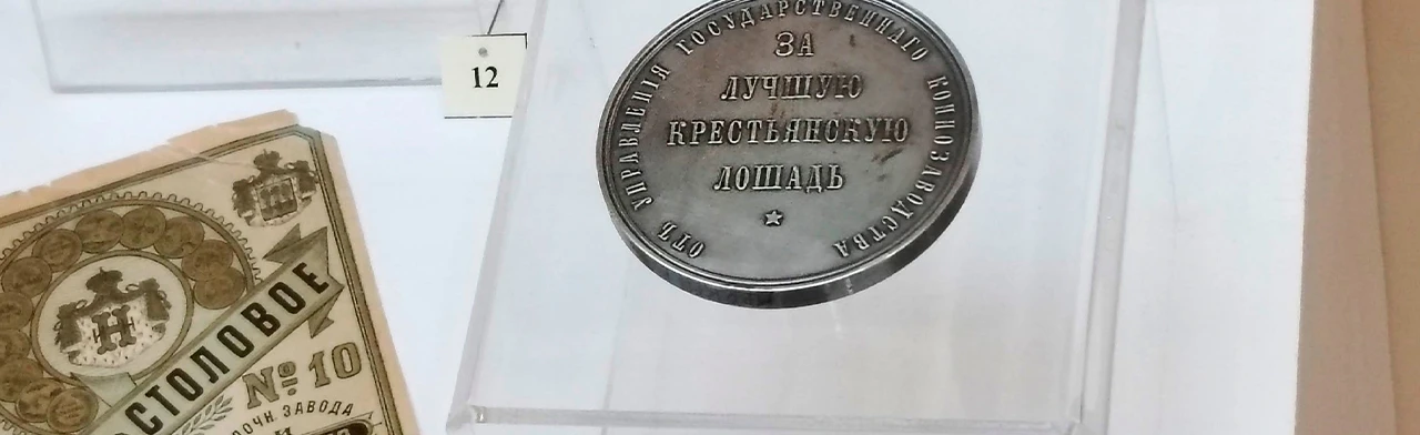 Постер Под стук копыт: лошадь в истории России. Интерактивное занятие в Саранске