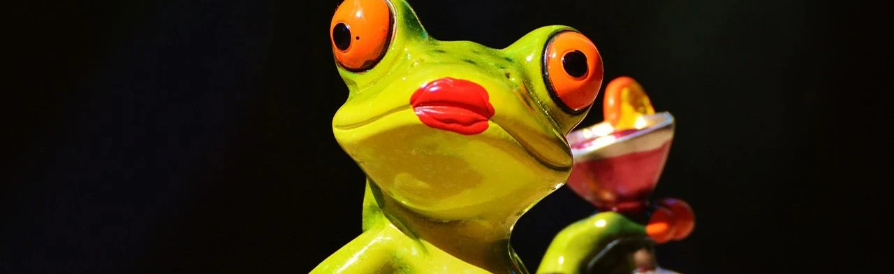 Постер Прекрасная лягушка