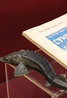 Постер Писатели-фронтовики. Лекция в Саранске