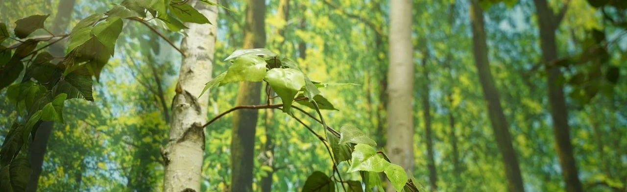 Постер Удивительный мир деревьев: от природы к человеку