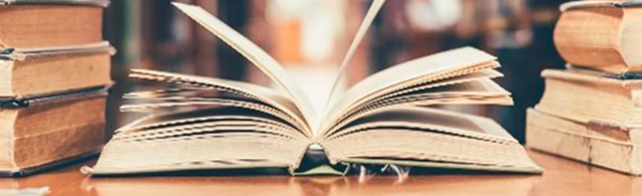 Постер Мы разные и в этом наша сила. Литературно-историческая игра в Саранске