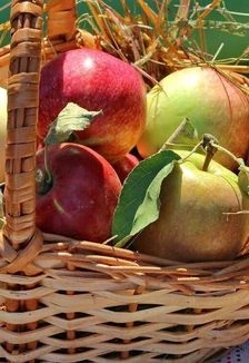 Постер Лето яблочко румянит: Познавательная программа в Саранске