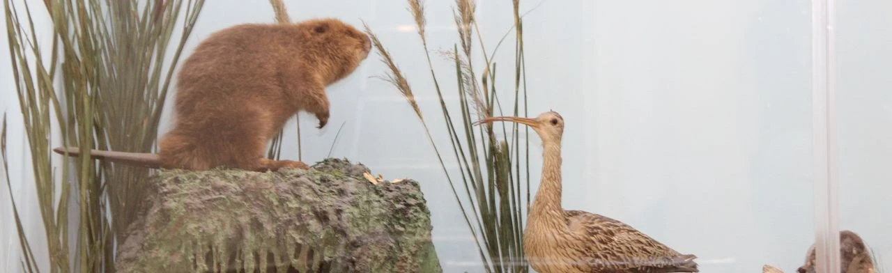 Постер Исчезнувшие: Лекция