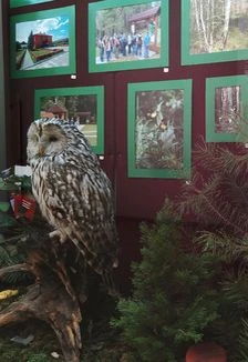 Постер На службе у природы: Выставка в Саранске