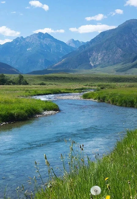 Постер Береги свою планету-ведь другой похожей нету! в Саранске
