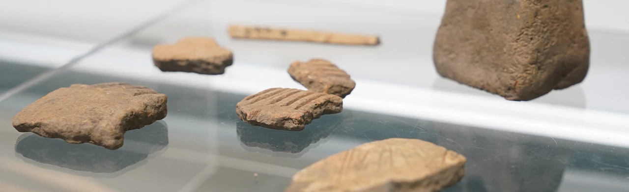 Постер Культурный слой: города Мордовии с точки зрения археологии в Саранске