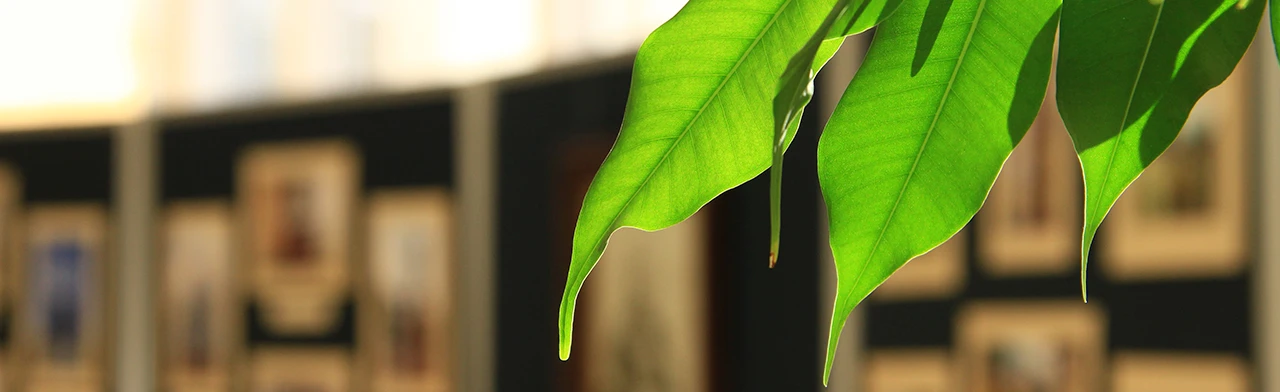 Постер Путешествуем по музеям Мордовии. Лекция