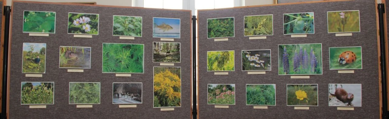 Постер Опасные пришельцы: Лекция