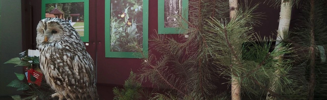 Постер На службе у природы: Выставка в Саранске