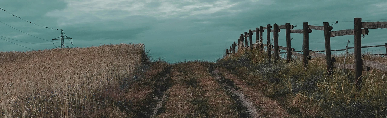 Постер Просторы земли родной. Тематическое мероприятие