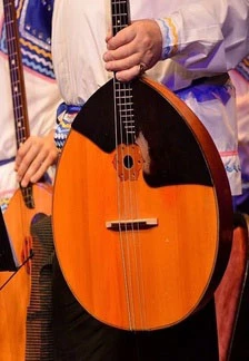 Постер Талант с родины И. Я. Паницкого в Саратове