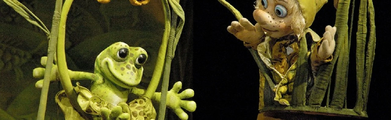 Постер Царевна-лягушка