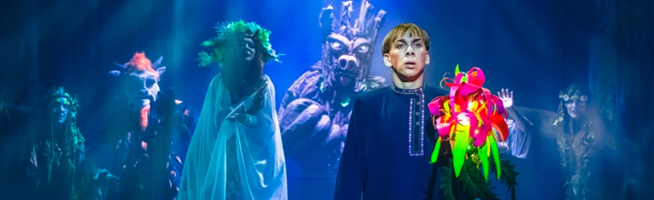 Постер Царевна Несмеяна в Саратове