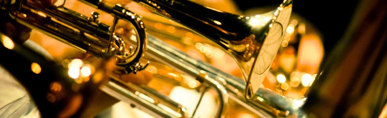 Постер В гостях у духовых инструментов в Саратове