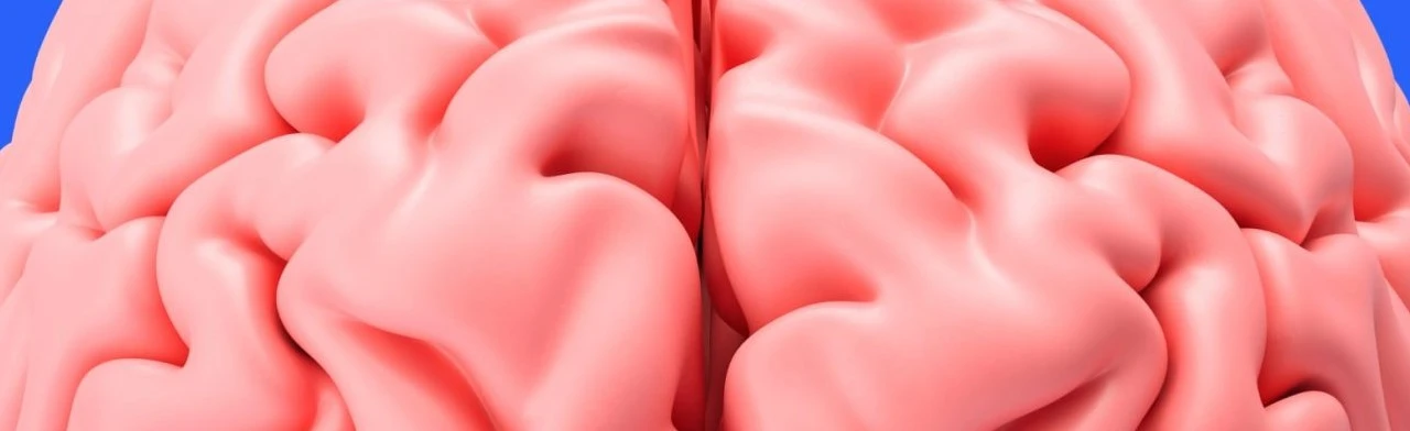 Постер Кто самый умный? Я самый умный... Интеллектуальный баттл