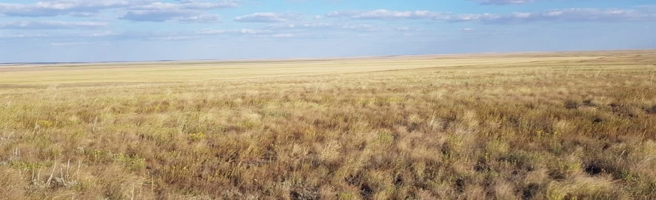 Постер Родной земли очарованье. Историко-литературная игра