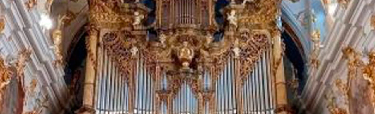 Постер Органный абонемент: Виват орган в Саратове