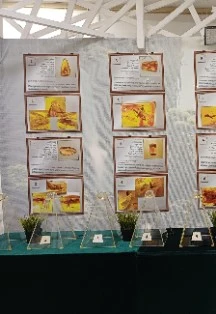 Постер Капсула времени. Выставка в Саратове