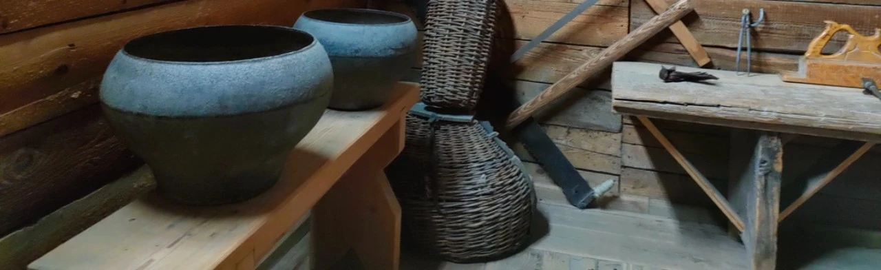 Постер Жизнь семьи Чапаевых. Экскурсия