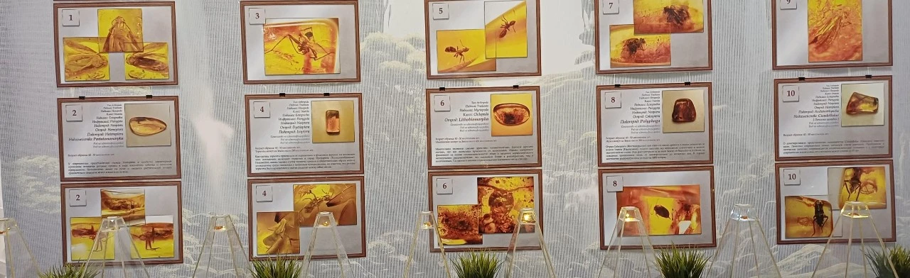 Постер Капсула времени. Выставка в Саратове