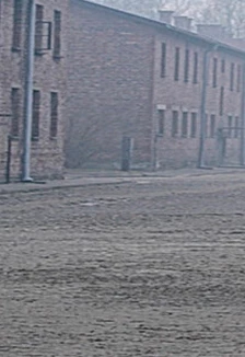 Постер Освенцим. Йозеф Менгеле - доктор Смерть в Смоленске