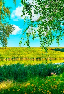 Постер Моя земля, моя Россия. Историко-патриотический час в Смоленске