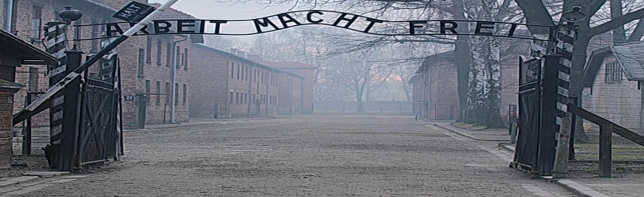 Постер Освенцим. Йозеф Менгеле - доктор Смерть в Смоленске