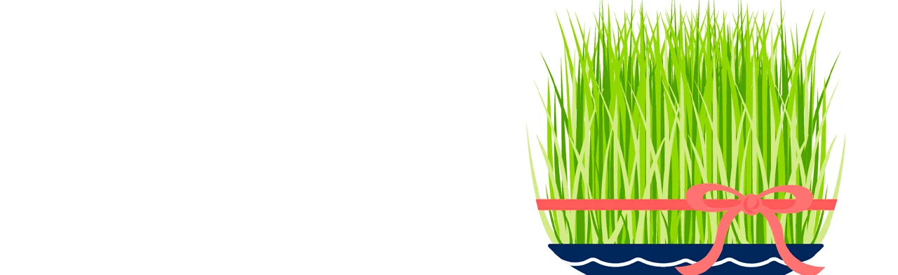 Постер Народный праздник Наурыз. Фольклорно-познавательная программа в Смоленске