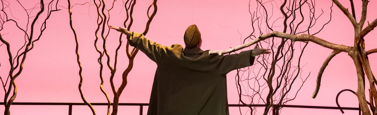 Постер Зори здесь тихие в Самаре