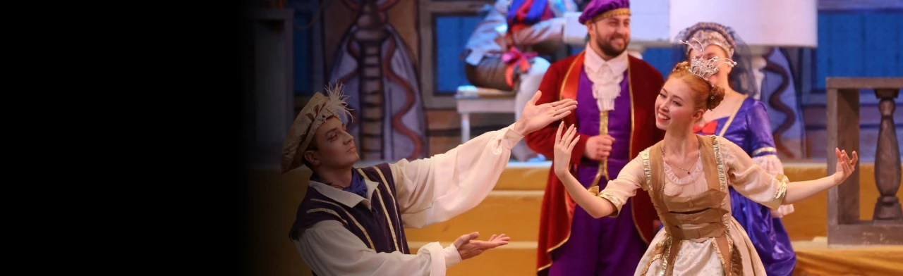 Постер Бременские музыканты. Театр оперы и балета