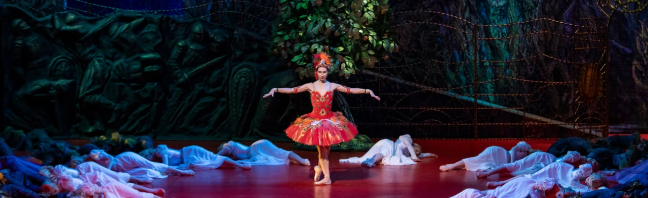 Постер Жар-птица, Шехерезада в Самаре