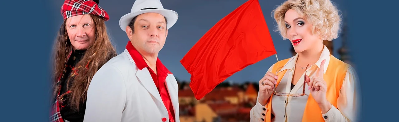 Постер Ищу мужа в Томске