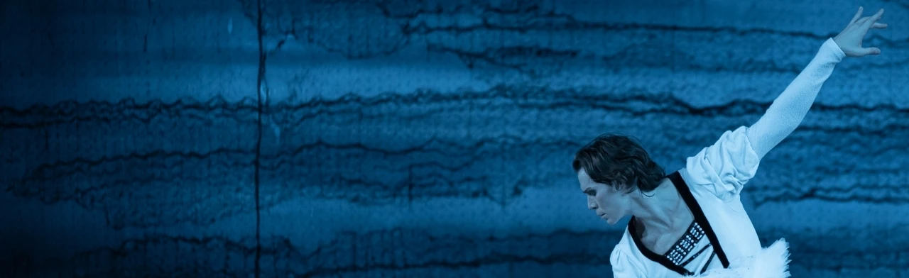 Постер Лебединое озеро в Уфе