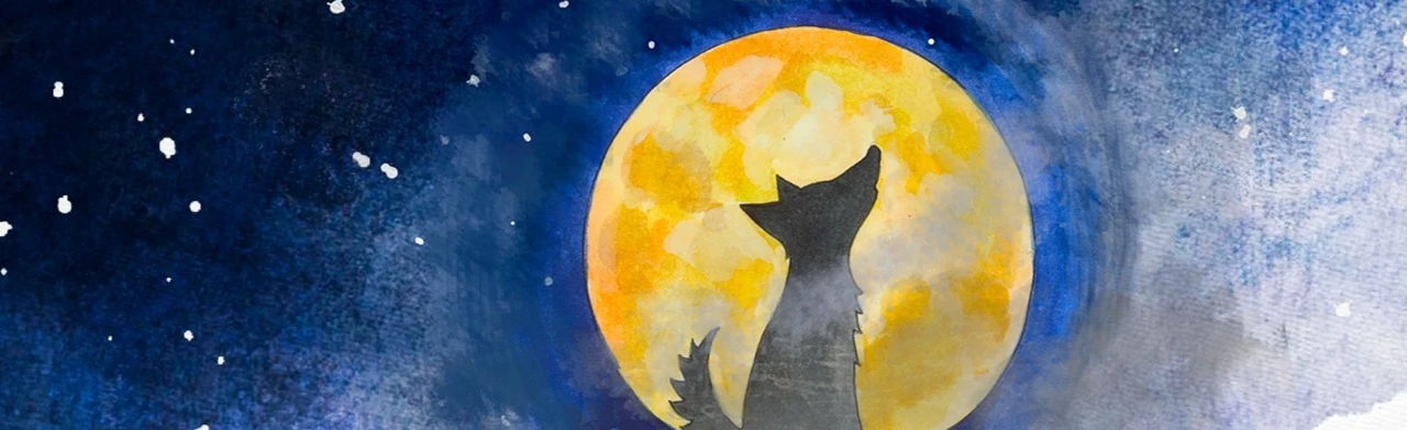 Постер Когда приходит Волчок...