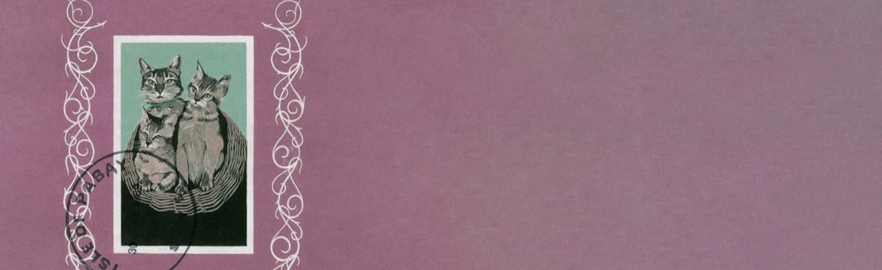 Постер Порез на собаке