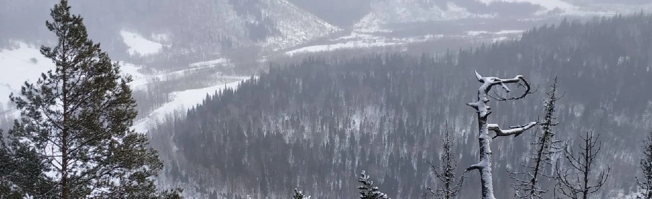 Постер Розовые скалы: украшение Инзера в Уфе